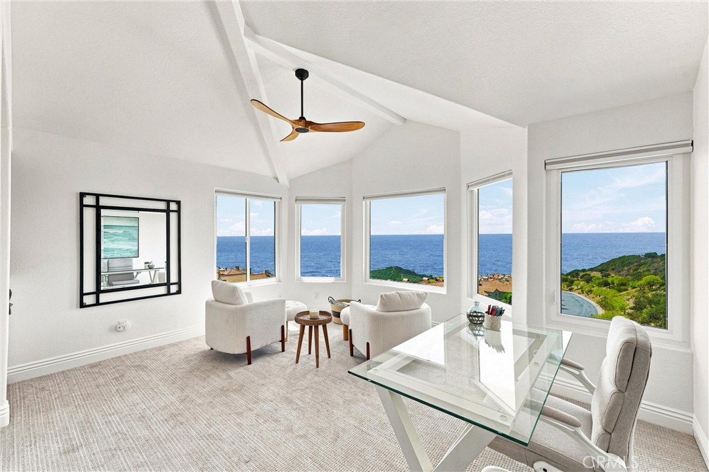 VIEWS, VIEWS , VIEWS - 6 Cavalier, Laguna Niguel CA 92677 - photo 24