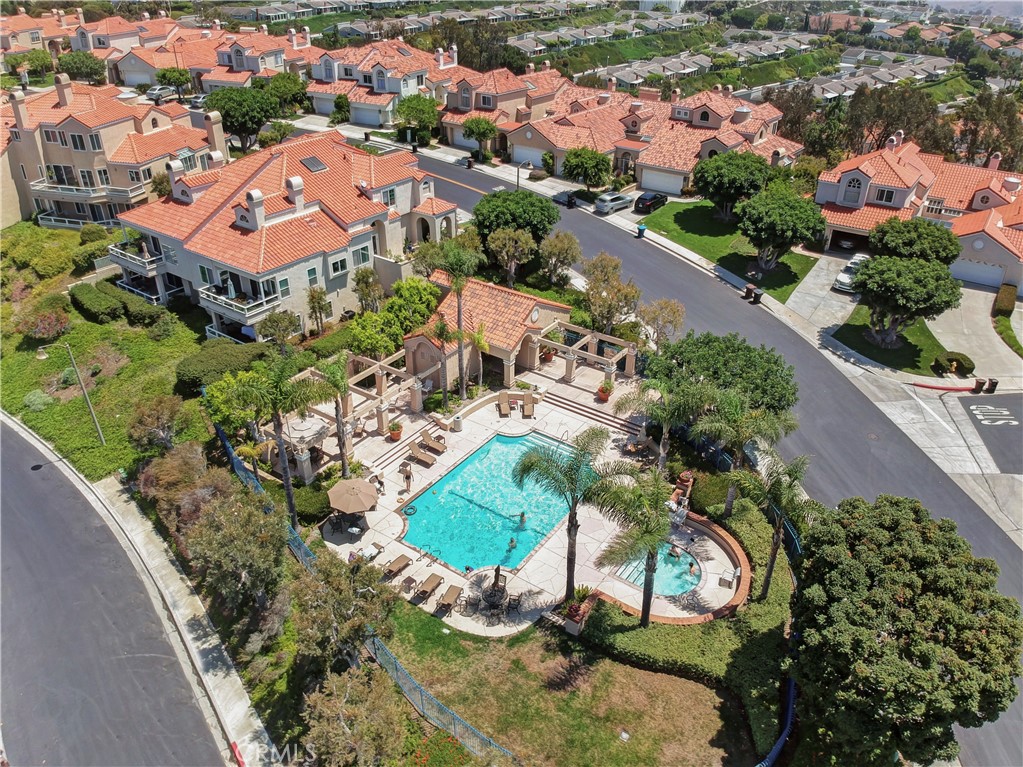 Laguna Sur Amenities Featuring Two Pools, Two Spas & Private Guard-Gated Entry - 6 Cavalier, Laguna Niguel CA 92677 - photo 32