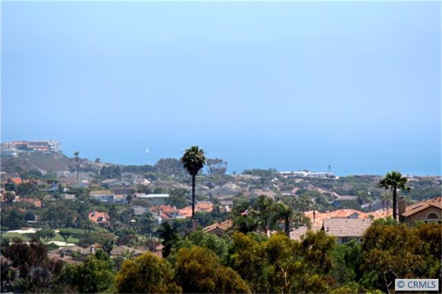 The Fantastic Pacific Ocean is right out your door! Delight in the fresh breeze and calming lookout everyday. - 8 PORTLAND Place 33, Laguna Niguel CA 92677 - photo 1