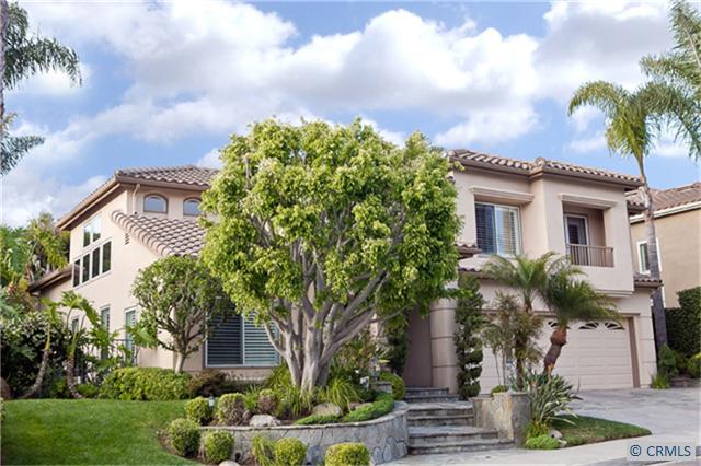 GORGEOUS CURB APPEAL WITH LUXURIOUS CUSTOM LANDSCAPE & HARDSCAPE! - 9 BROWNSBURY Road, Laguna Niguel CA 92677 - photo 1