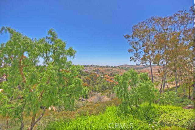 View from Master bedroom balcony - 9 Fleurance Street, Laguna Niguel CA 92677 - photo 1