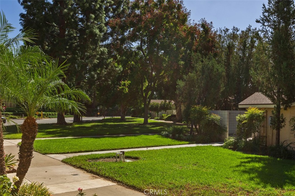 124 Via Estrada E, Laguna Woods CA 92637 - photo 29