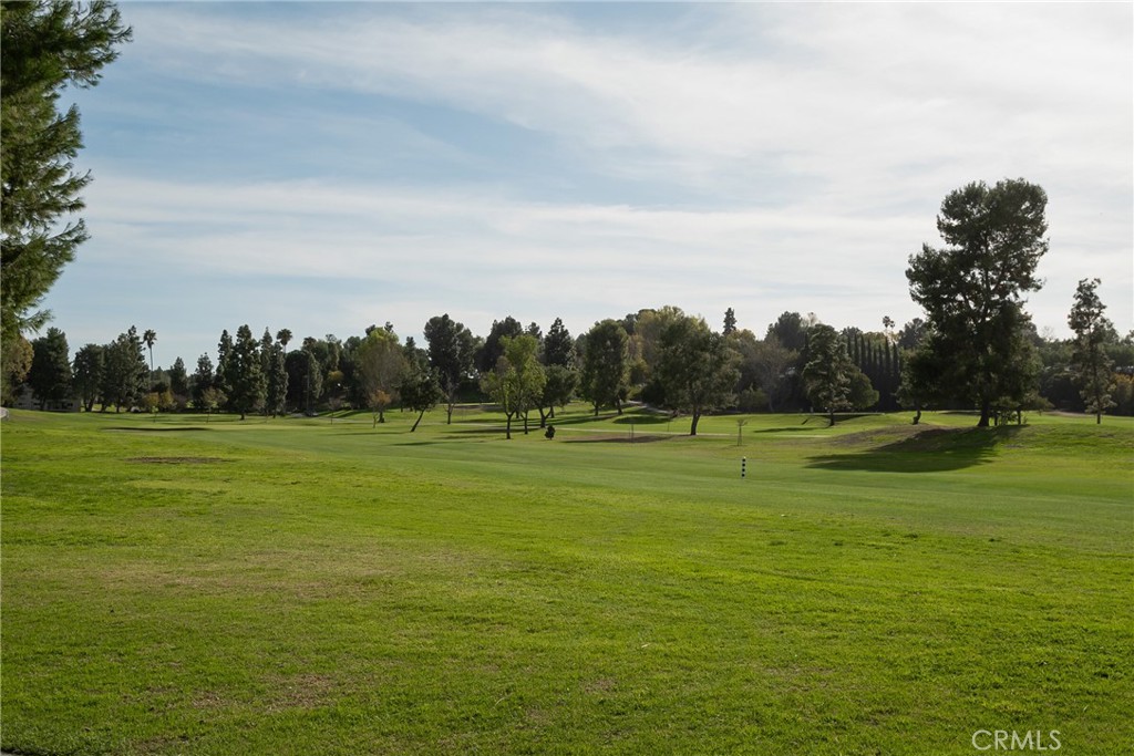 2132 Via Puerta E, Laguna Woods CA 92637 - photo 27