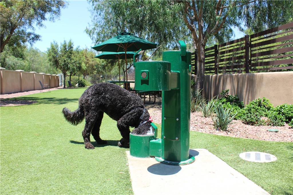 Paris at the Dog Park - 2192 Via Mariposa E H, Laguna Woods CA 92637 - photo 21