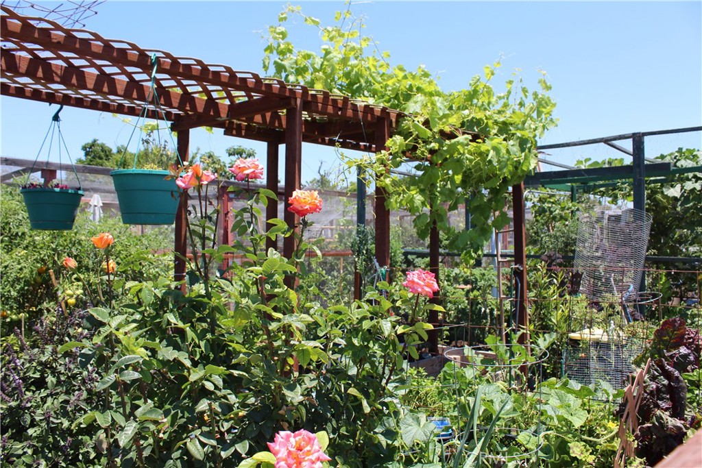 Rent a Garden​​‌​​​​‌​​‌‌​​‌‌​​‌‌​​‌​​​‌‌​‌​​​​‌‌​‌​​ Plot - 2192 Via Mariposa E H, Laguna Woods CA 92637 - photo 23