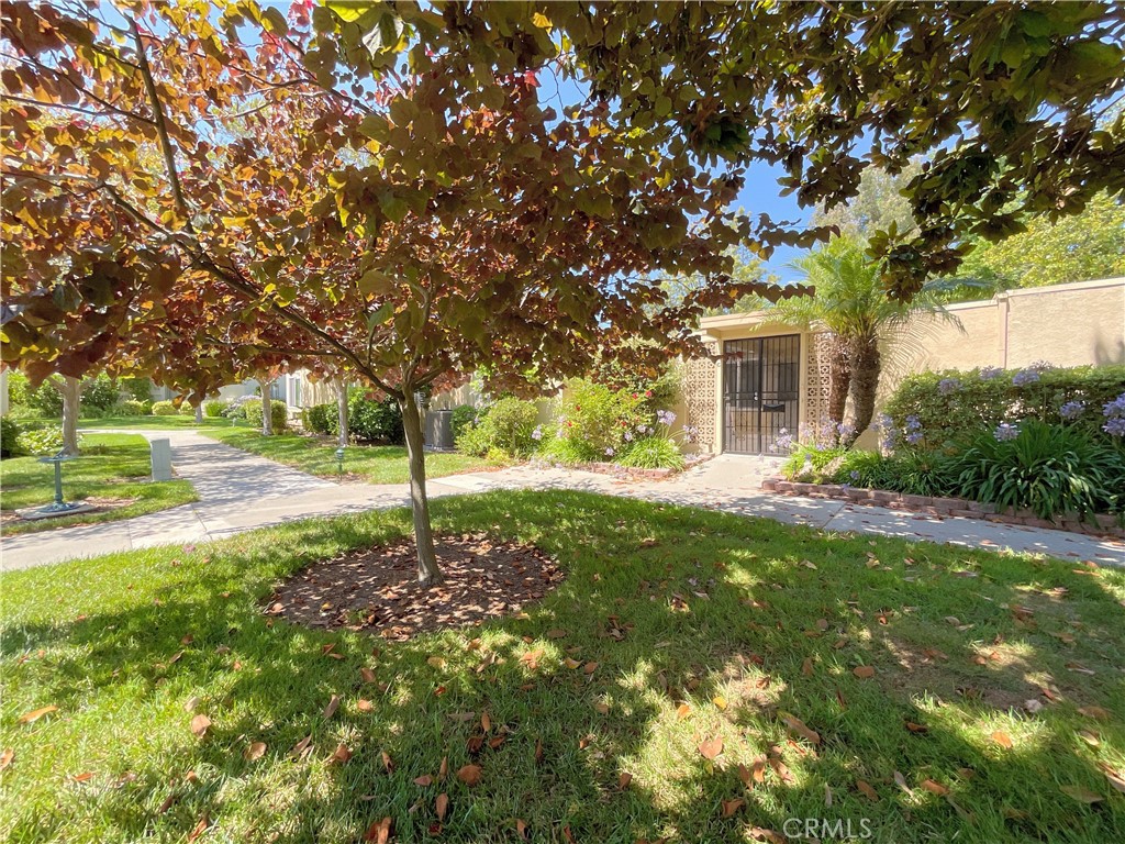 Tranquil Yard in front - 221 Avenida Majorca C, Laguna Woods CA 92637 - photo 1