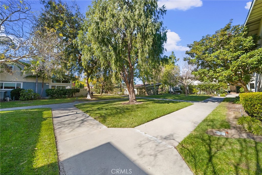 Park-like greenbelt just outside Building 225, with mature shade trees and paved pathways connecting the surrounding res - 225 Avenida Majorca N, Laguna Woods CA 92637 - photo 29
