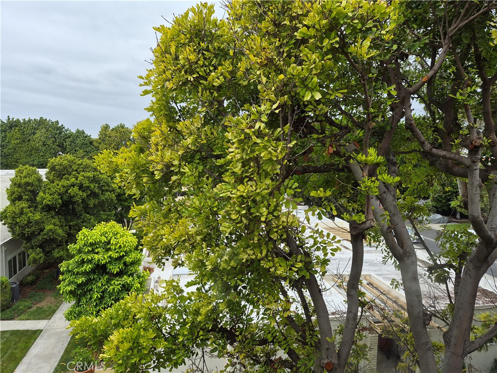 2370 W Via Mariposa 3D, Laguna Woods CA 92637 - photo 1