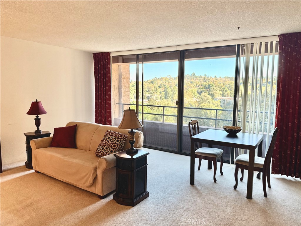 Living Area - 24055 Paseo Del Lago, Laguna Woods CA 92637 - photo 2