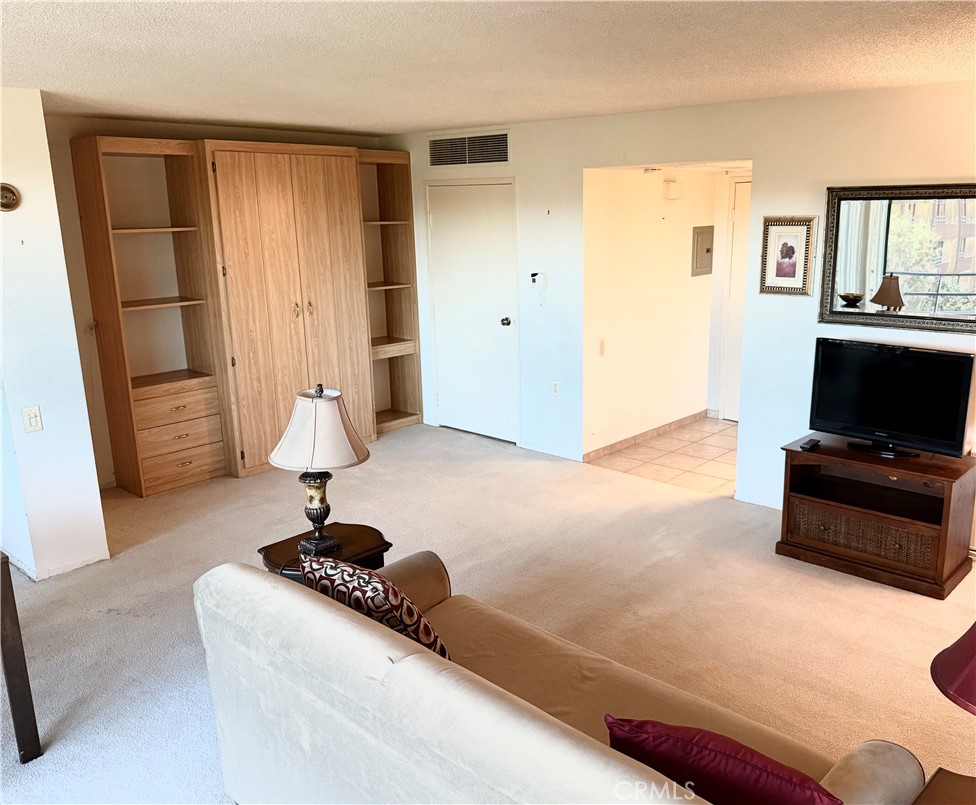 Living Area - 24055 Paseo Del Lago, Laguna Woods CA 92637 - photo 6
