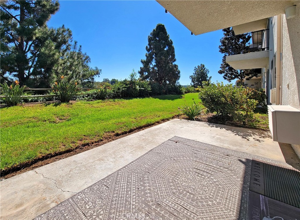 3337 Punta Alta 1C, Laguna Woods CA 92637 - photo 20