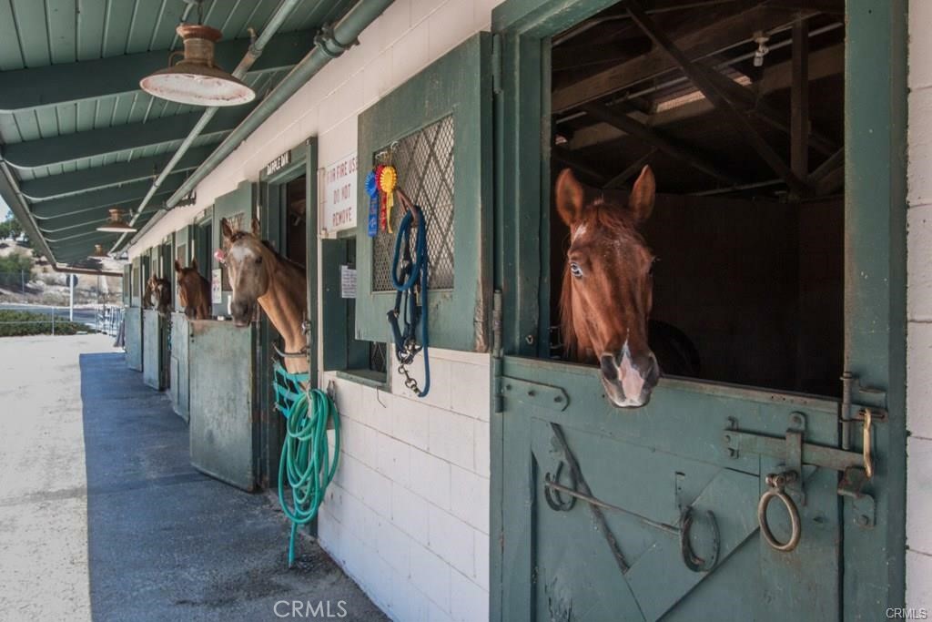 341 Avenida Sevilla B, Laguna Woods CA 92637 - photo 14