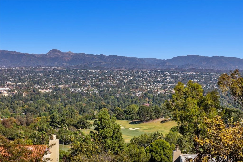 Views of the golf course, mountains, and gorgeous landscaping. - 4013 Calle Sonora Oeste Unit 2E, Laguna Woods CA 92637 - photo 3