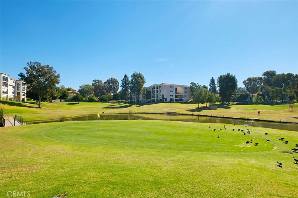 4013 Calle Sonora Oeste Unit 2E, Laguna Woods CA 92637 - photo 45