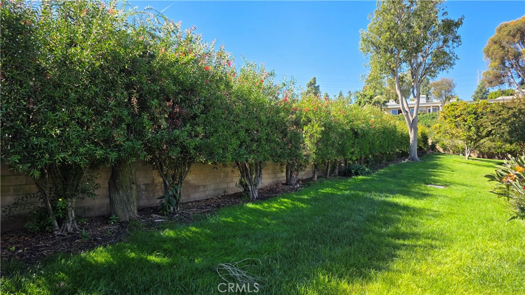 REAR YARD - 5522 Via La Mesa B, Laguna Woods CA 92637 - photo 9