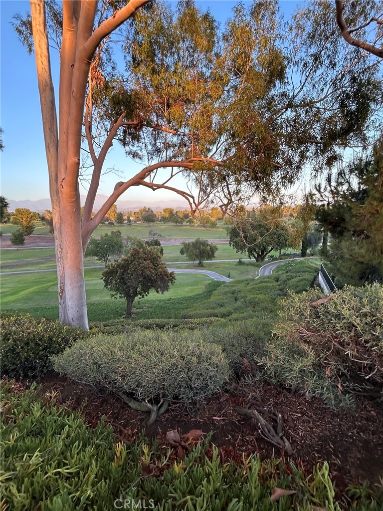57 Calle Cadiz O, Laguna Woods CA 92637 - photo 23