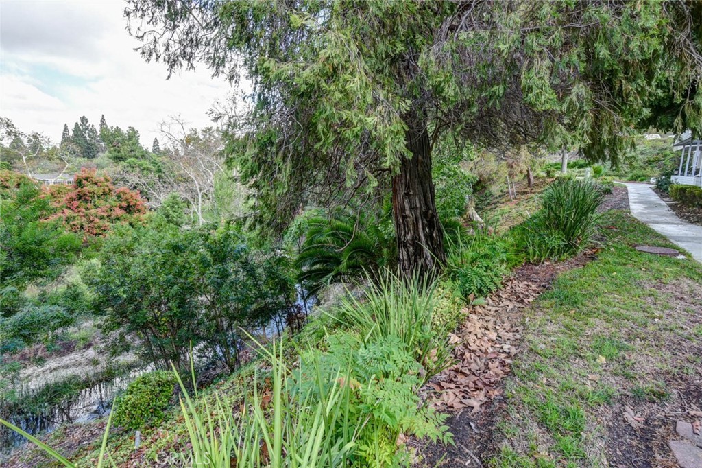 SIDEWALK ALONG CREEK - 633 Avenida Sevilla O, Laguna Woods CA 92637 - photo 5