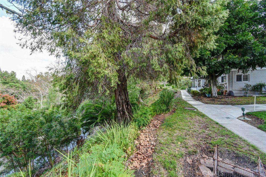 ALISO CREEK ON LEFT-SIDEWALK RAMP ON RIGHT - 633 Avenida Sevilla O, Laguna Woods CA 92637 - photo 46