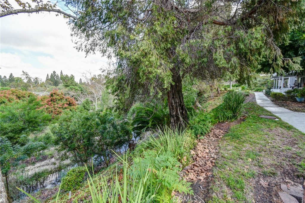 ALISO CREEK BANKS - 633 Avenida Sevilla O, Laguna Woods CA 92637 - photo 50