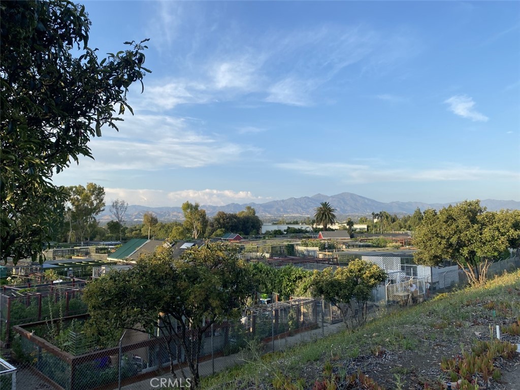 2 GARDEN CENTERS - 633 Avenida Sevilla O, Laguna Woods CA 92637 - photo 61