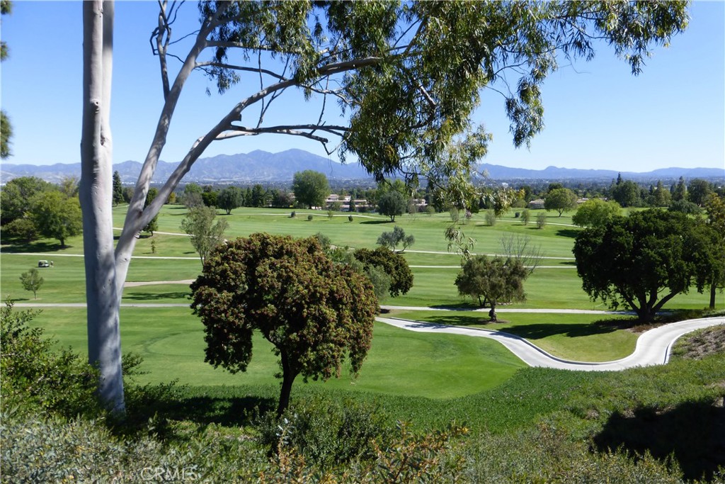 27-HOLE GOLF COURSE - 881 Via Mendoza O, Laguna Woods CA 92637 - photo 43