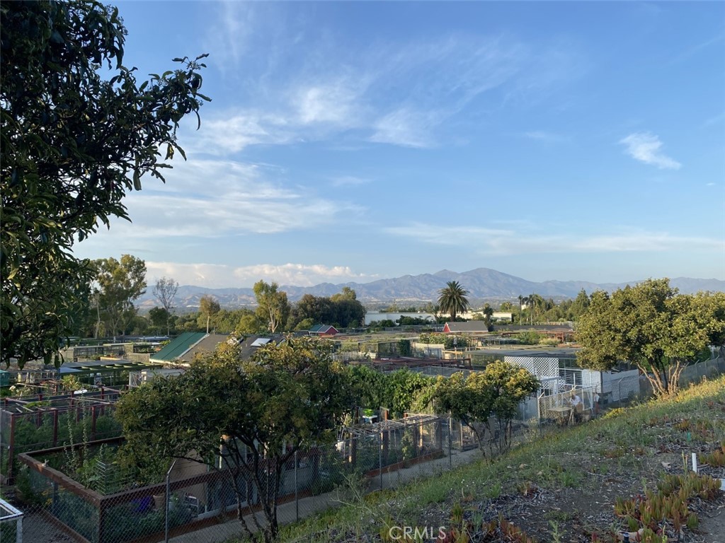 ONE OF TWO GARDEN CENTERS - 881 Via Mendoza O, Laguna Woods CA 92637 - photo 47