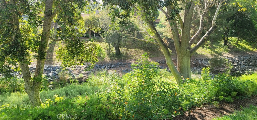 931 Avenida Majorca #A, Laguna Woods CA 92653 - photo 11