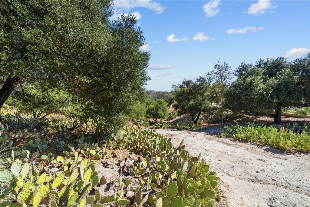18 Calotte, Lake Forest CA 92610 - photo 43