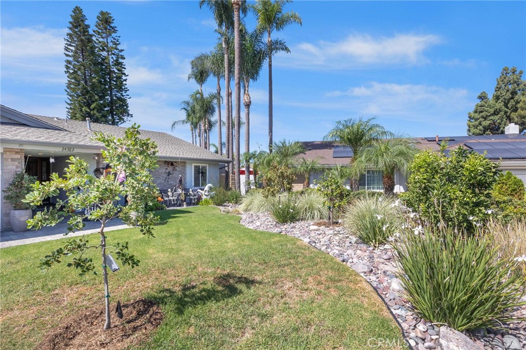 Fruit trees and rock scape - 24382 Corta Cresta, Lake Forest CA 92630 - photo 3