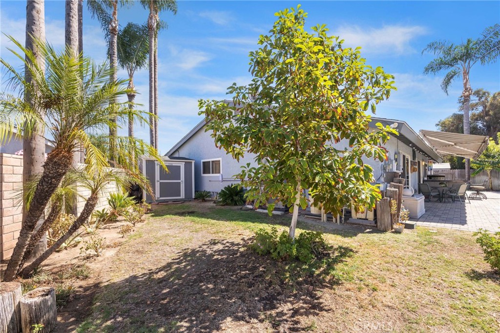Lots of fruit trees on this property - 24382 Corta Cresta, Lake Forest CA 92630 - photo 32