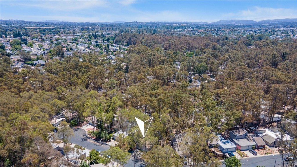 25012 Woodridge, Lake Forest CA 92630 - photo 62