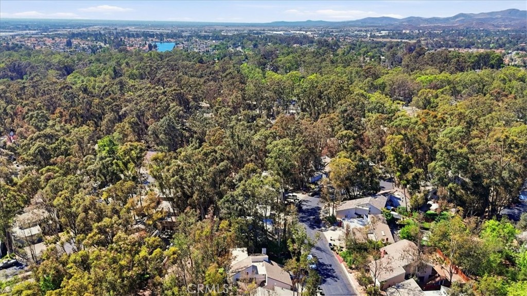 25045 Castlewood, Lake Forest CA 92630 - photo 32