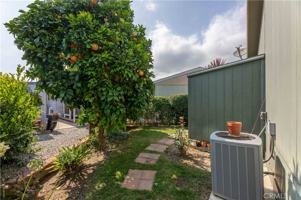 Fruit Trees - 10681 Oak Street 106, Los Alamitos CA 90720 - photo 40