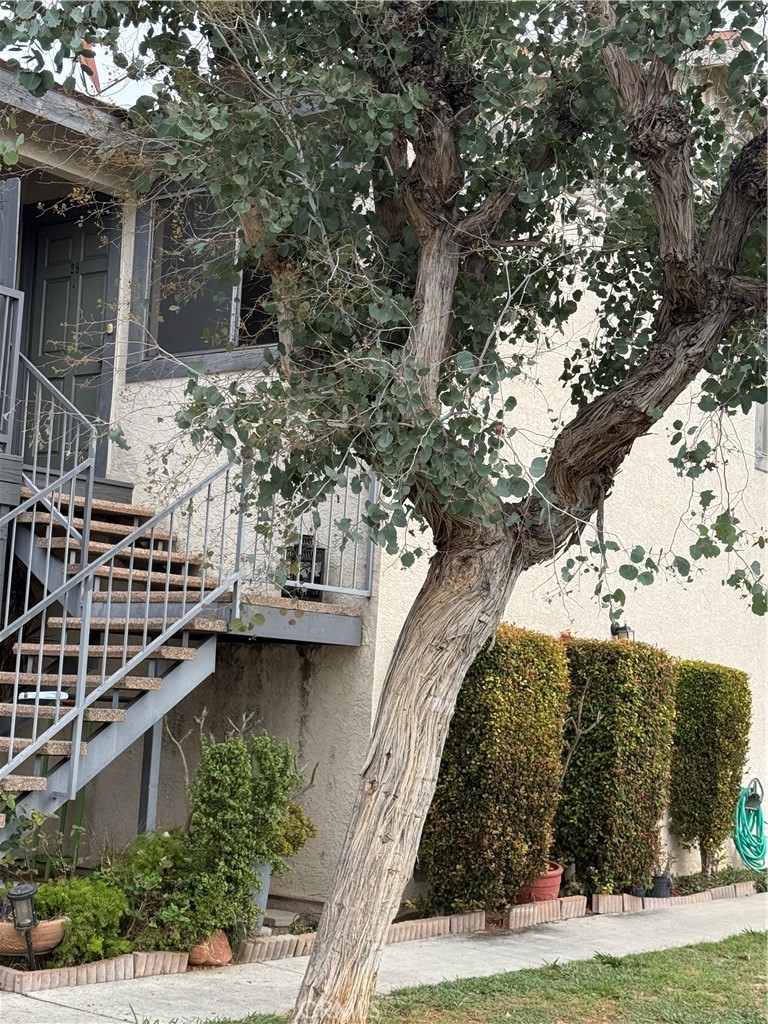 10726 Oak Street, Los Alamitos CA 90720 - photo 1