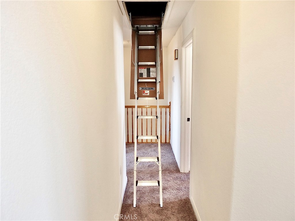 View of new pulldown ladder - 4441 Farquhar, Los Alamitos CA 90720 - photo 52