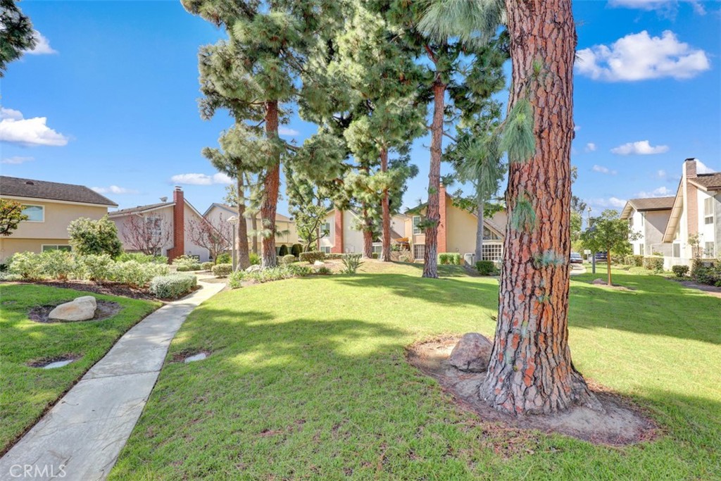 Green space behind the house. - 5021 Apollo Circle, Los Alamitos CA 90720 - photo 40