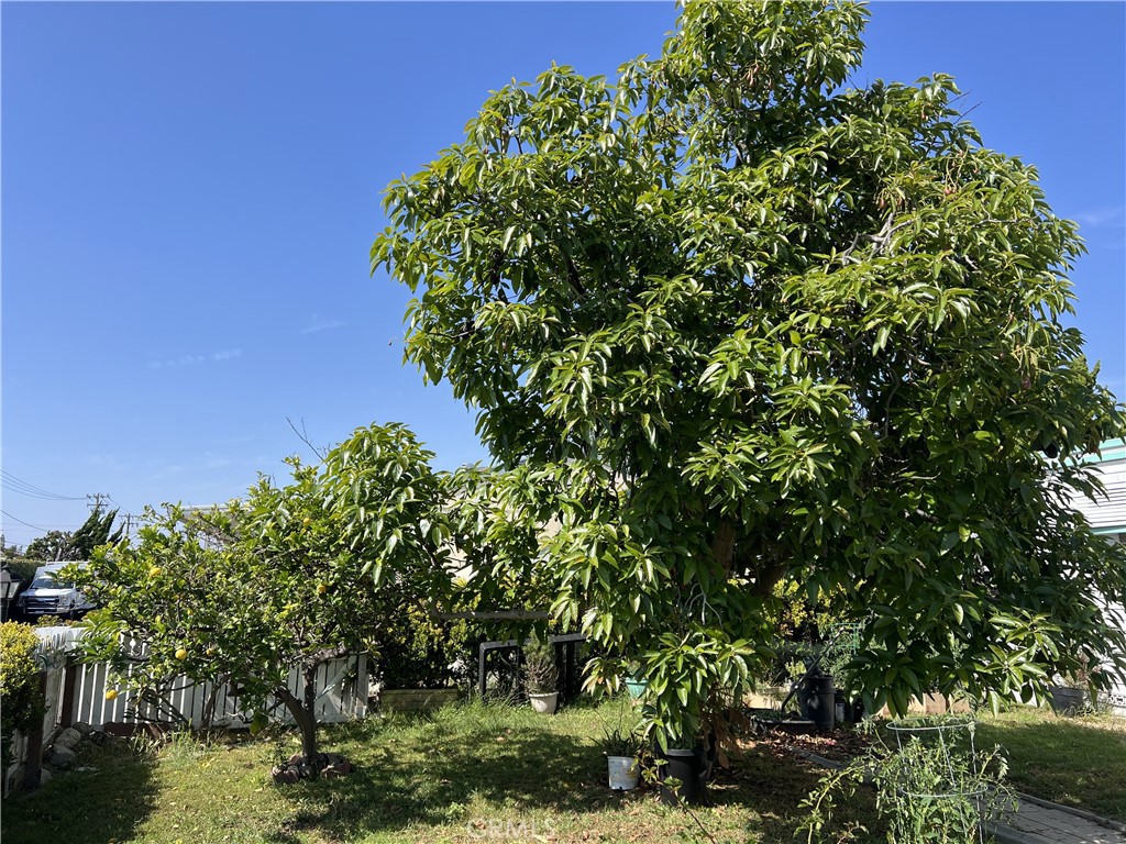 8200 Bolsa 37, Midway City CA 92655 - photo 7