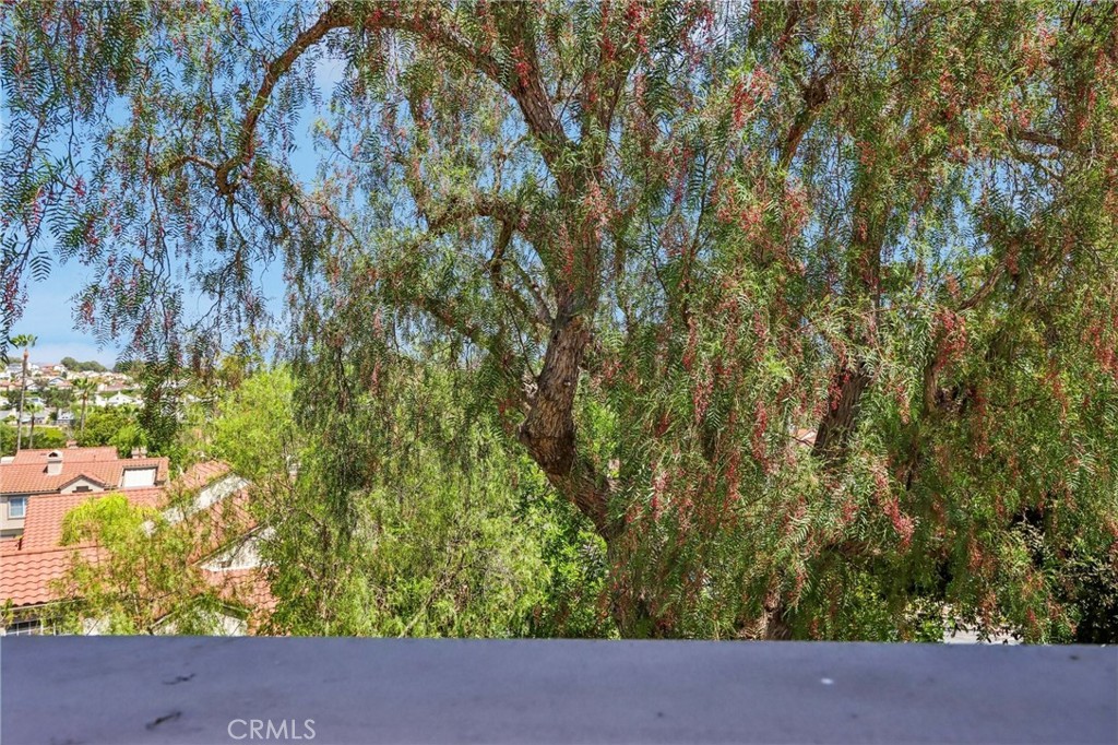 21954 Barbados, Mission Viejo CA 92692 - photo 48
