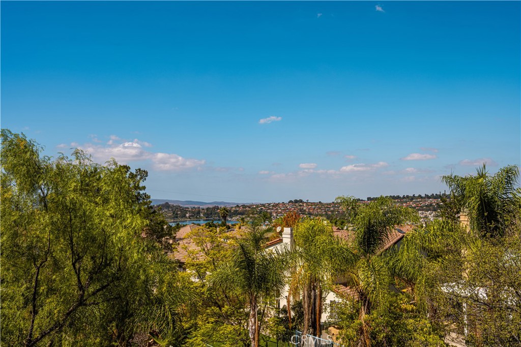 23041 Poplar, Mission Viejo CA 92692 - photo 35