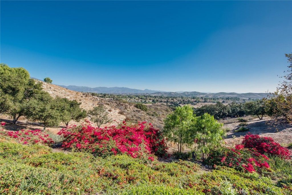 Trails around the community. - 23041 Poplar, Mission Viejo CA 92692 - photo 41