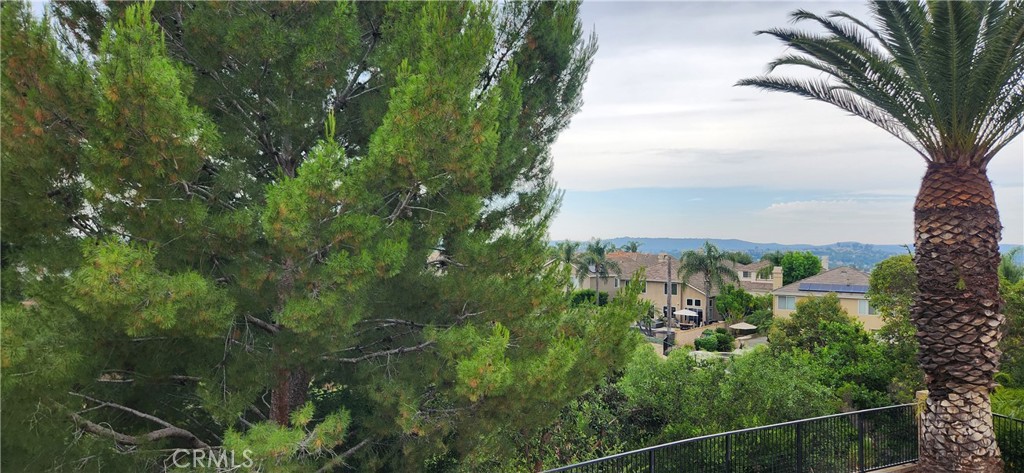 25466 Pacific Hills Drive, Mission Viejo CA 92692 - photo 4