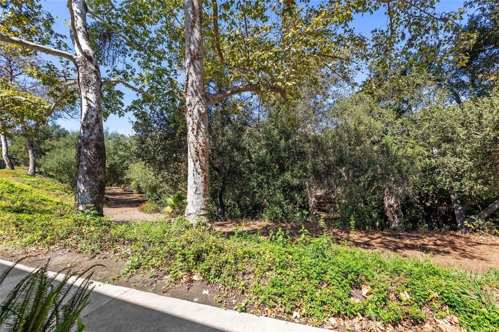 Mature trees and a creek below just outside your new home. - 26495 Via Damasco, Mission Viejo CA 92691 - photo 12