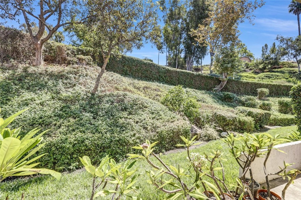 26626 El Toboso, Mission Viejo CA 92691 - photo 16
