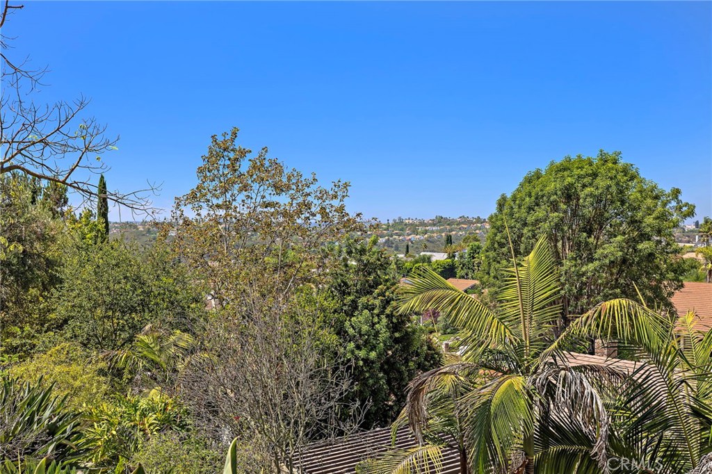 26732 Morena, Mission Viejo CA 92691 - photo 47