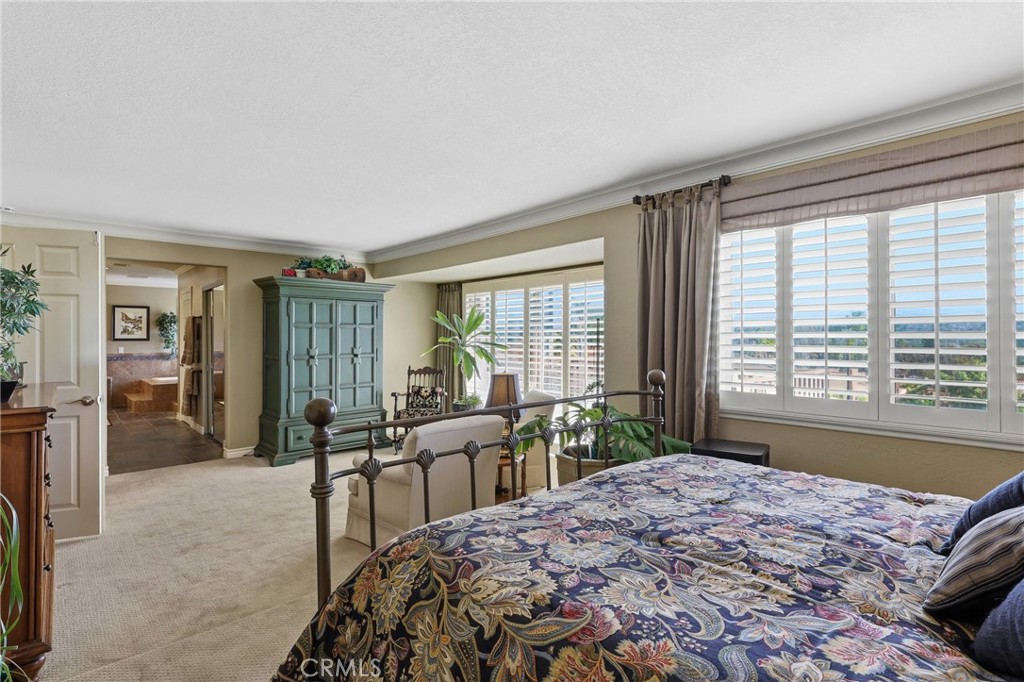 27391 Valderas, Mission Viejo CA 92691 - photo 60