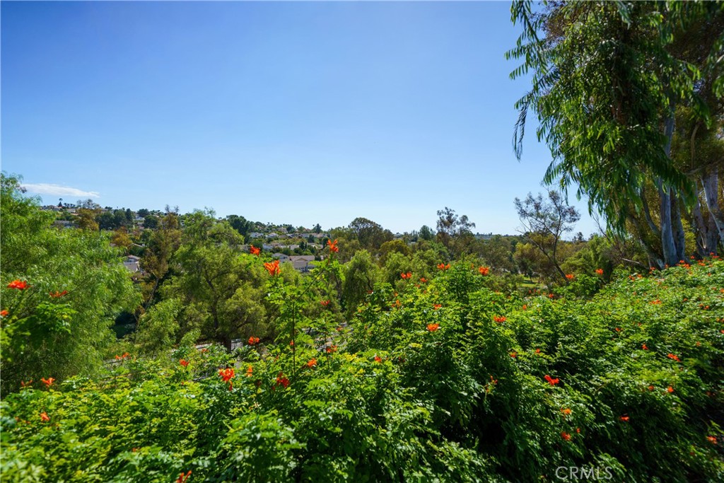 27772 Via Granados, Mission Viejo CA 92692 - photo 32