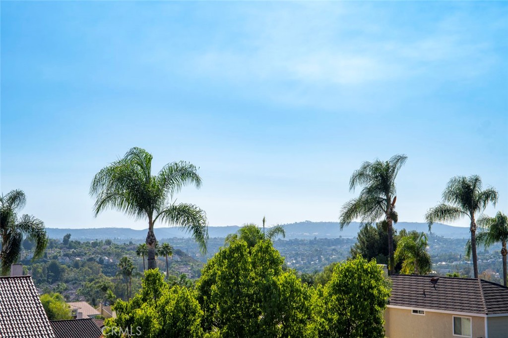Views from the balcony - 28152 Amable, Mission Viejo CA 92692 - photo 18
