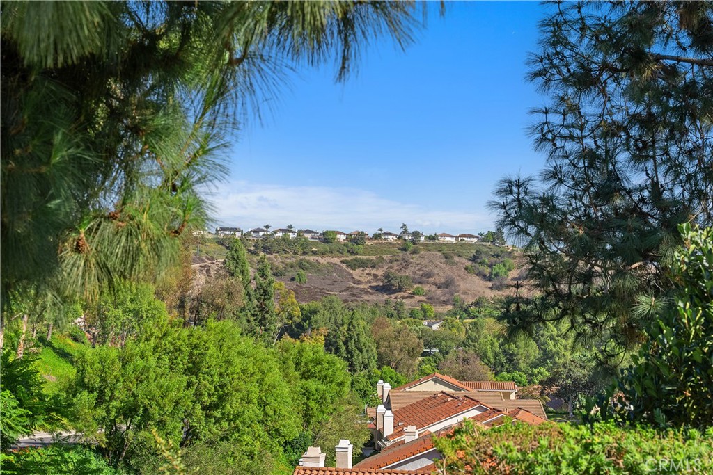 28252 Via Herrera, Mission Viejo CA 92692 - photo 31