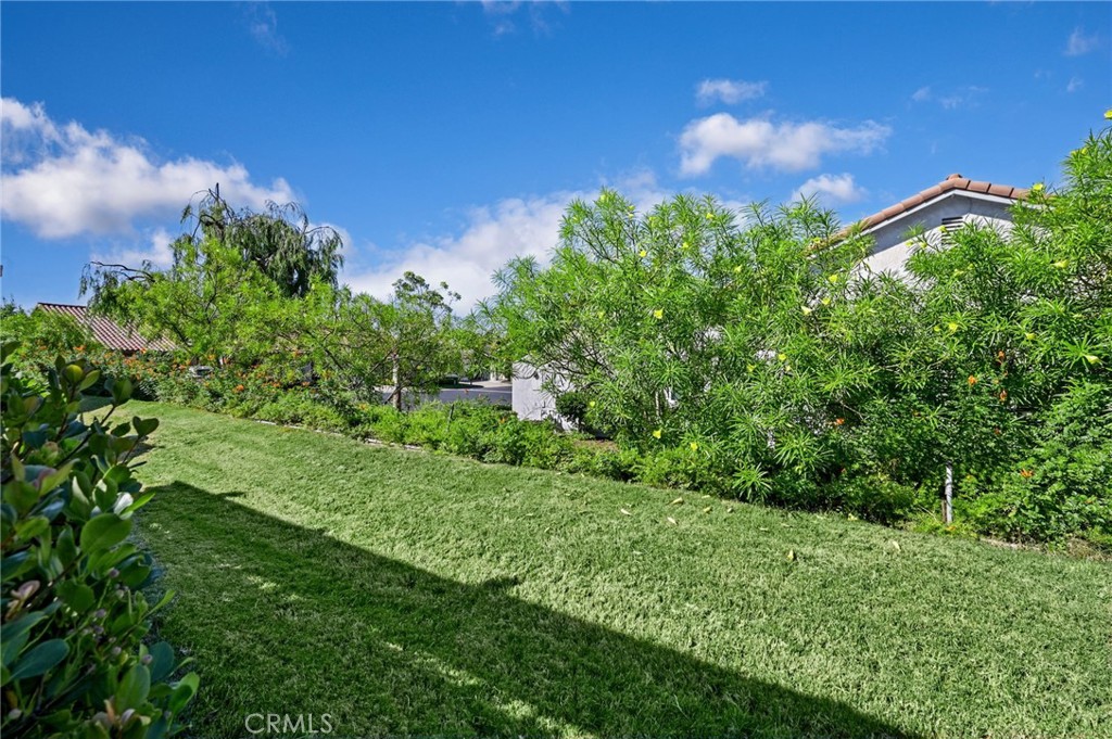 Back patio greenbelt - 28546 Cano, Mission Viejo CA 92692 - photo 23