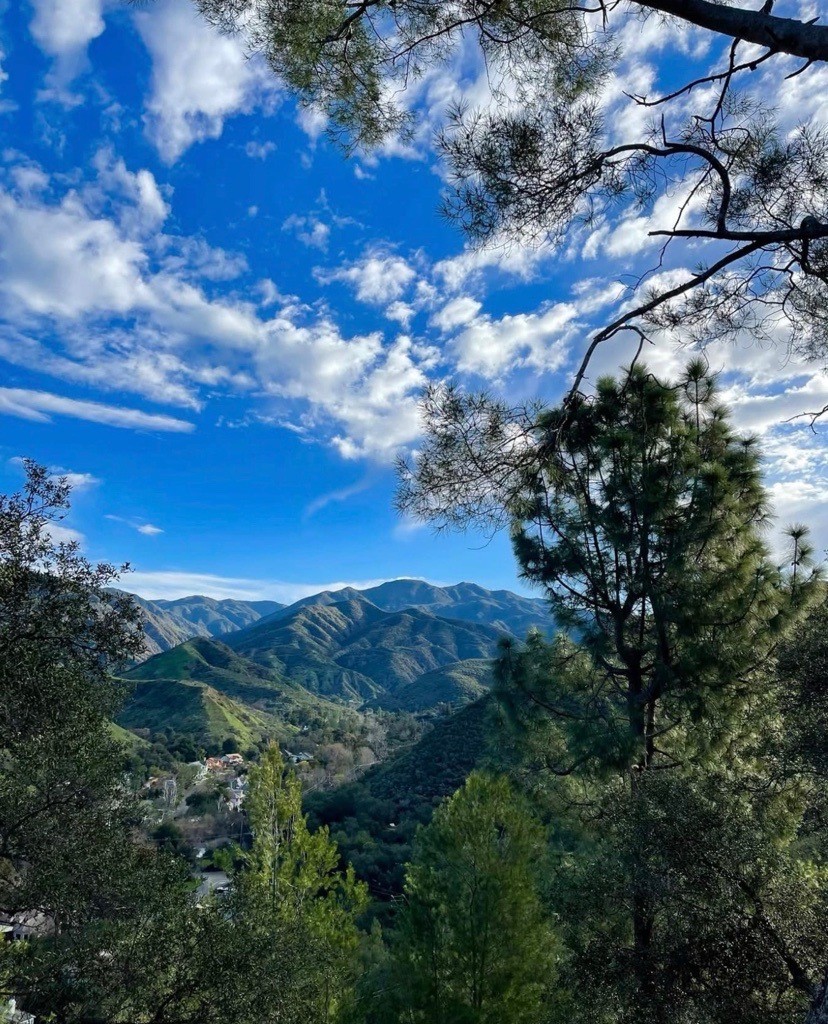 28151 Modjeska Grade Road, Modjeska Canyon CA 92676 - photo 62